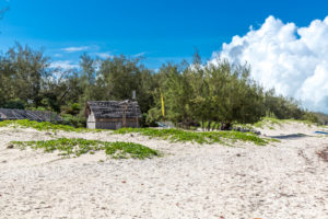 Kleine Strohhütte, Sakalava Strand, Oronjia Nationalpark, Antsiranana, Diego Suarez, Madagaskar, Afrika, Indischer Ozean Kleine Strohhütte, Sakalava Strand, Oronjia Nationalpark, Antsiranana, Diego Suarez, Madagaskar, Afrika, Indischer Ozean